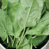 Kuzukulağı Tohumu Yerli 3 Gram