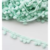 Kzn Şerit Ponpon 5 Metre - Mint