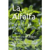 La Alfalfa: Su cultivo y su aplicación en la Industria