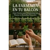 La Farmacia en tu Balcón. Guía Práctica para Transformar tus Plantas en Remedios Naturales. (Medicina)