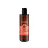La Graine 250 ml Boya Koruyucu ve Sabitleyici Argan Şampuan
