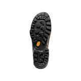 La Sportiva Tx5 Low Gtx Approach Kaya Yaklaşım Ayakkabısı Savana Tiger