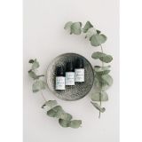 La Vie Ancienne 10 ml Okaliptus Uçucu Yağı
