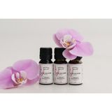 La Vie Ancienne 10 ml Paçuli Uçucu Yağı