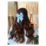 La Vie En Mode Accessory Kadın Mavi Fiyonk Toka