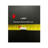 Lab Manyetik Balık 6X20 mm - Boy:20 mm - Çap:6 mm