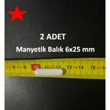 Lab Manyetik Balık 6x25 Mm - 2 Adet