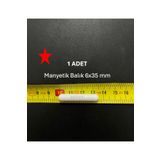 Lab Manyetik Balık 6X35 mm - Boy:35 mm - Çap:6 mm