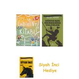 Labirent Kitabı + Dünyanın Merkezine Yolculuk + Siyah İnci Hediye