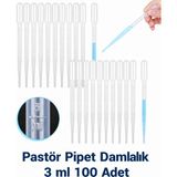 Labolist Pastör Pipeti Non Steril Damlalık 3 ml Plastik 100 Adet