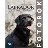 Labrador: Fotobok