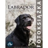 Labrador: Fotoksiążka