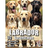 Labrador Geschichten - 30 Kurzgeschichten, Illustrationen und Fakten: Herzerwärmende Erzählungen, Illustrationen & faszinierende Fakten auf 60 Seiten für die ganze Familie (Hundegeschichten, Band 7)