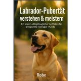 Labrador in der Pubertät sicher führen: Leinenziehen, Aufdrehen und Rückruf ruhig begleiten - mit klaren Schritten durch die schwierigste Junghundphase Autor: Robe