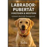 Labrador in der Pubertät sicher führen: Ruhiges Junghundetraining gegen Leinenziehen, Aufdrehen und Frust, mit klarer Struktur für Rückruf, Begegnungen und Familienalltag