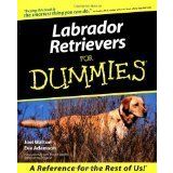 Labrador Retrievers For Dummies by Walton, Joel, Adamson, Eve [Paperback]