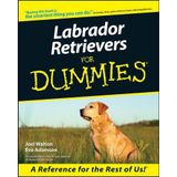 Labrador Retrievers for Dummies (Howell dummies series) by Joel Walton (14-Sep-2000) Paperback