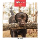 Labrador Retrievers