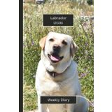Labrador Weekly Diary 2026 (Hardcover): A gorgeous Week View Planner 2026 (spread across 2 pages). It's an ideally sized (6"x9") pet lover's journal ... pages. Great gift for friends and family.
