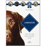 LABRADOR