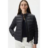 Lacoste Kapitone Syntetic Fill Jacket Dik Yaka Siyah Kadın Mont - 38