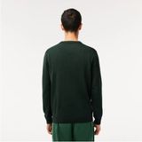 Lacoste Regular Fit Bisiklet Yaka Organik Pamuklu Erkek Yeşil Kazak