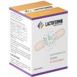 Lactofermin Lactoferrin L Glutamin Çinko 60 Kapsül Doğal Besin Takviyesi Türkiye Menşeli