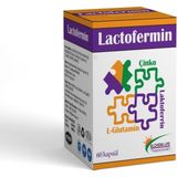 Lactoferrin Alcheralife Lactofermin Laktoferrin - Glutamin - Çinko 60 Kapsül Besin Takviyesi - --