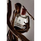 L'actone Oud Wood Eau De Parfum / Parfüm 100 ml