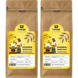 Lacupp - Etiyopya Bench Maji - Öğütülmüş Filtre Kahve/çekirdek Kahve - 250 gr x 2 Adet | 100% Arabica - 500 gr