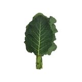 Lahana Sarmalık Yaprak Karadere Tohumu Paket 10 Gram