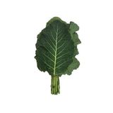 Lahana Sarmalık Yaprak Karadere Tohumu Paket 25 Gram