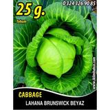 Lahana Tohumu Brunswick (beyaz) - 25g (~ Takribi 3250 Tohum)