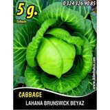 Lahana Tohumu Brunswick (Beyaz) - 5 g (~ Takribi 650 Tohum)