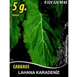 Lahana Tohumu Karadere (Yaprak) - 5 G. (~ Takribi 650 Tohum)