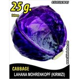Lahana Tohumu Mohrenkopf (kırmızı) - 25 G (~ Takribi 3250 Tohum)