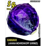 Lahana Tohumu Mohrenkopf (kırmızı) - 5 G (~ Takribi 650 Tohum)