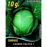 Lahana Tohumu Yalova 1 (beyaz) - 10g (~ Takribi 1300 Tohum)