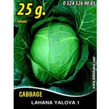 Lahana Tohumu Yalova 1 (Beyaz) - 25 G. (~ Takribi 3250 Tohum)