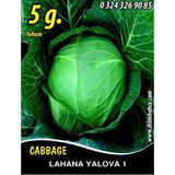 Lahana Tohumu Yalova 1 (Beyaz) - 5 g (~ Takribi 650 Tohum)