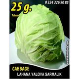 Lahana Tohumu Yalova Sarmalık (beyaz) - 25g (~ Takribi 3250 Tohum)