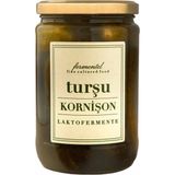 Lakto Fermente Kornişon Turşu - 1 Adet