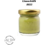 Lale Sanat Limon Küfü Sıraltı Seramik ve Çini Boyası