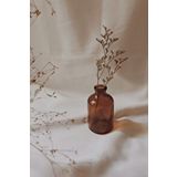 Lalezen Home 100 Ml Amber Kahverengi Cam Şişe Vazo