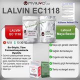 Lallemand Lalvin Ec 1118 Güçlü Şarap Mayası (30 Gr. EC1118) ve 30 Gr. Maya Besini Birlikte