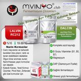Lallemand RC212 Kırmızı Şarap Mayası (30 Gr) ve Maya Besini (30 Gr) Birlikte