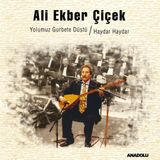 Laluna Ali Ekber Çiçek - Yolumuz Gurbete Düştü / Haydar Haydar 33 Plak Türk Halk Müziği