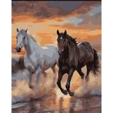 Lamba Cini Sayılarla Boyama Kasnaklı Tablo Seti Atlar 40x50 cm Fırça ve Boya ile Eğlenceli Sanat