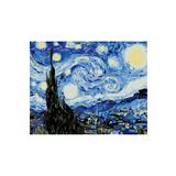 Lamba Cini Sayılarla Boyama Kasnaklı Tablo Seti Fırça Boya Dahil 40x50 Van Gogh
