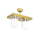 Lambadar Ikili Modern Spor Model Dikdörtgen Tepsi Eskitme Avize Eskitme Tek Ebat 30 X 60 3502-2Esk
